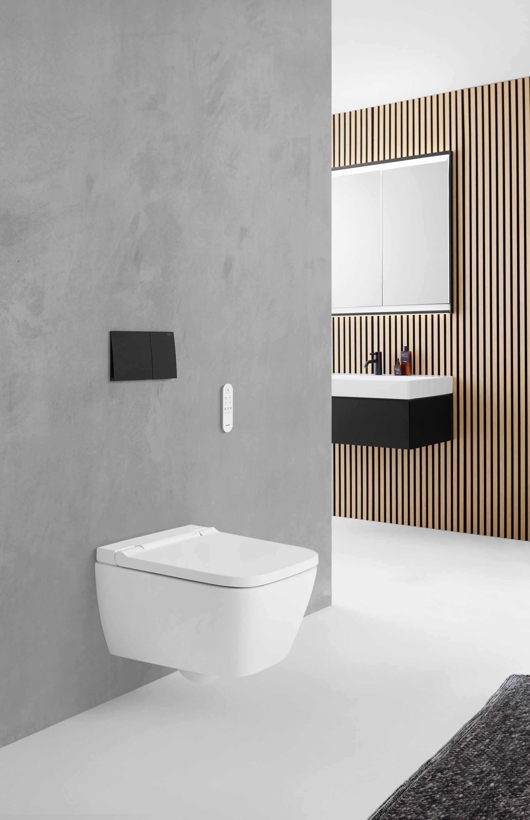 2024_Geberit AquaClean Sela Square_Remote control_Sigma70_ONE_carpet_portrait_Big Size (2)
